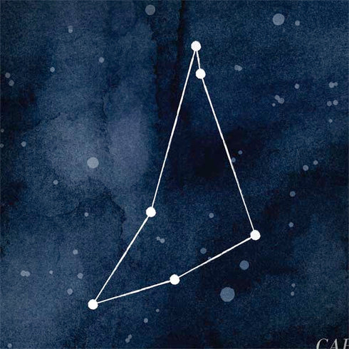 Capricorn Constellation MacBook Skins